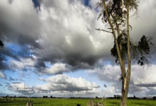 公牛队球员状态起伏难以保持连胜