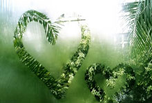 公牛队球员状态起伏难以保持连胜