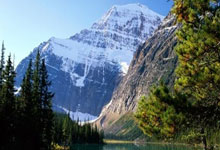 新晋球员势要破茧成蝶，谱写传奇篇章