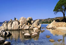 黄蜂队逐渐找回状态积极备战