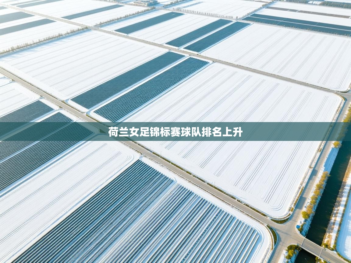 荷兰女足锦标赛球队排名上升