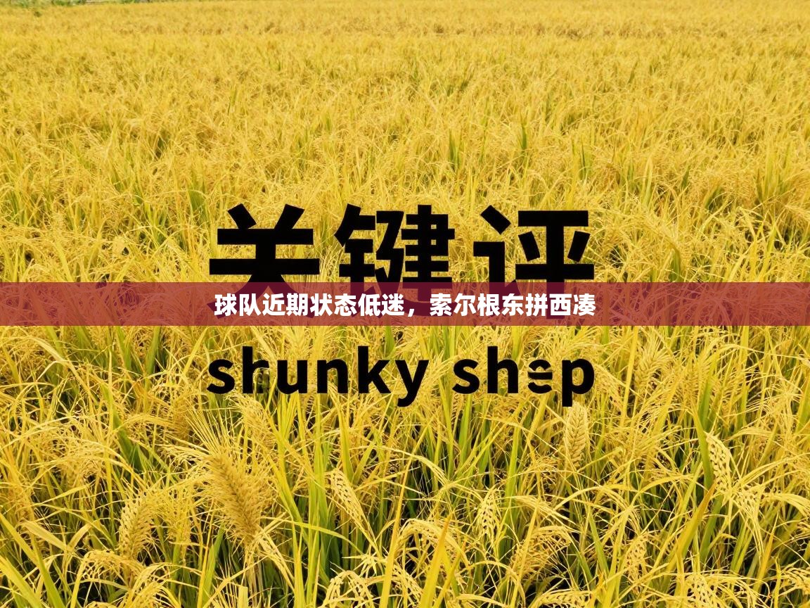 球队近期状态低迷，索尔根东拼西凑