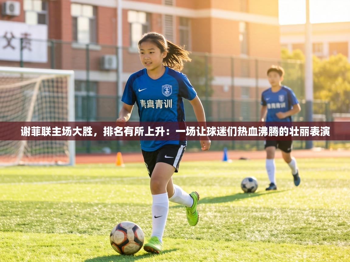 谢菲联主场大胜,排名有所上升:一场让球迷们热血沸腾的壮丽表演 第2张